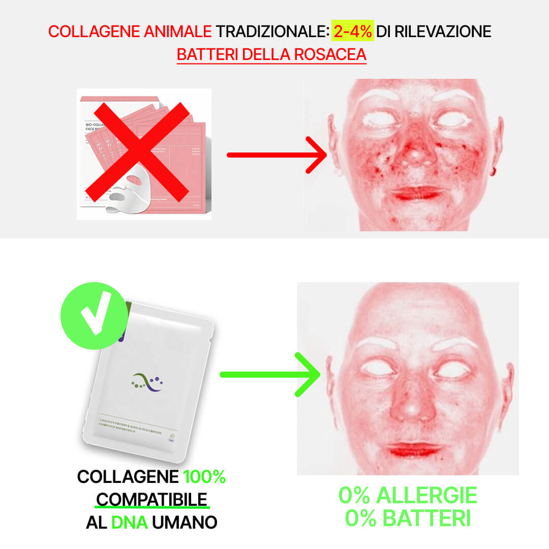 REPAIR™ - MASCHERA VISO Collagene RICOMBINANTE